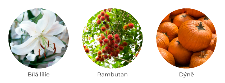 Aktivní složky: buňky bílé lilie, rambutan, dýně, antioxidační komplex, konjakové perličky